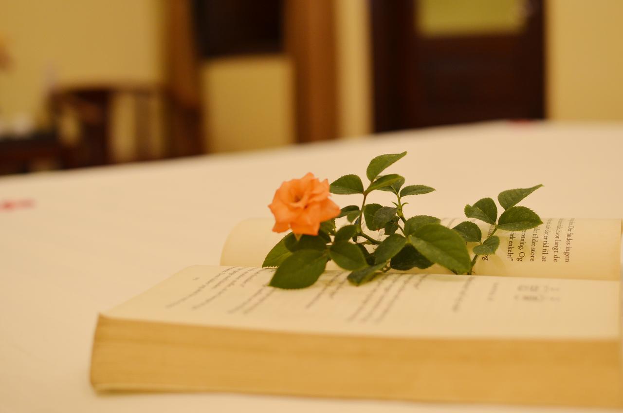 Panda Garden Homestay 호이안 외부 사진