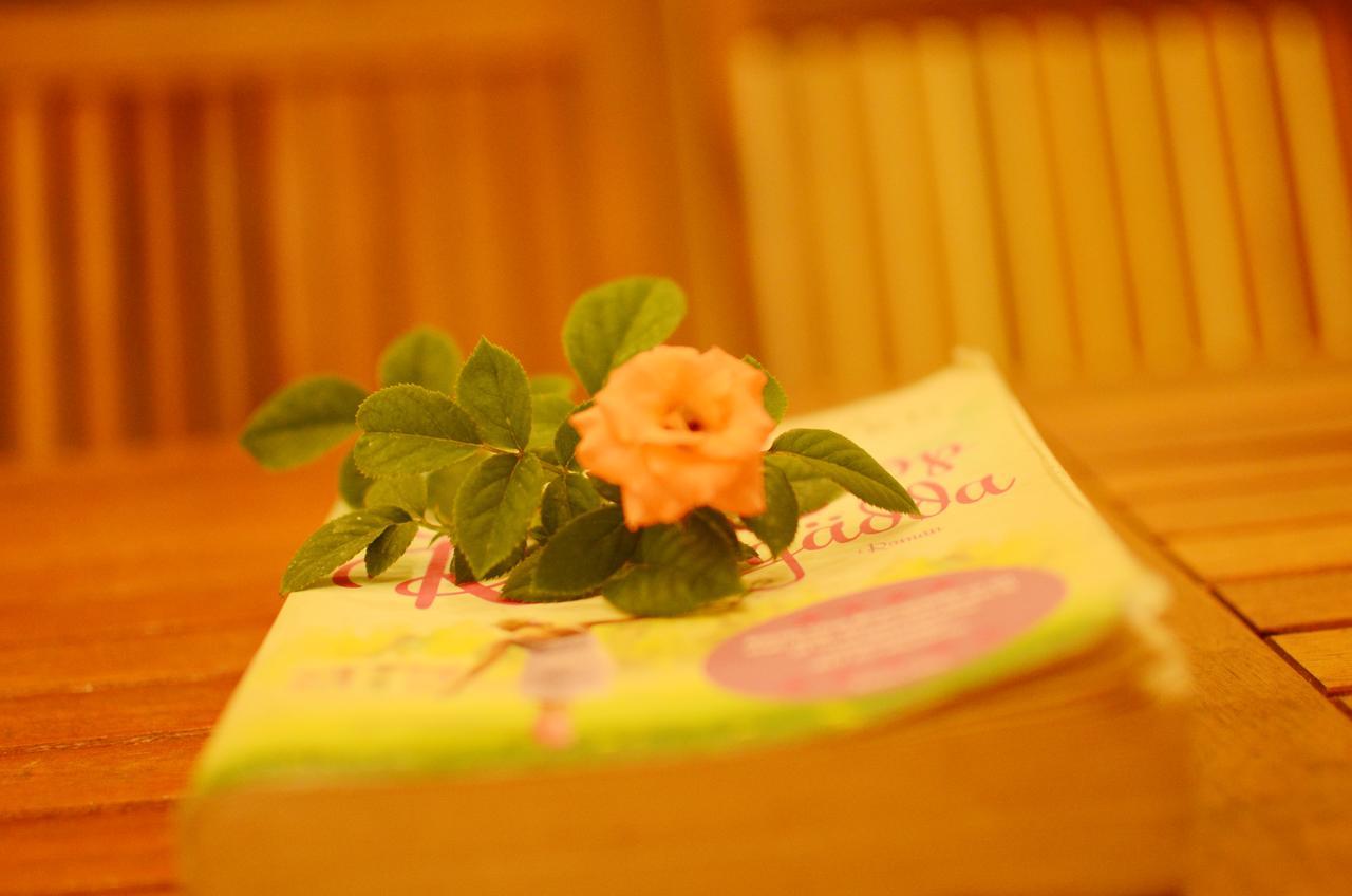 Panda Garden Homestay 호이안 외부 사진
